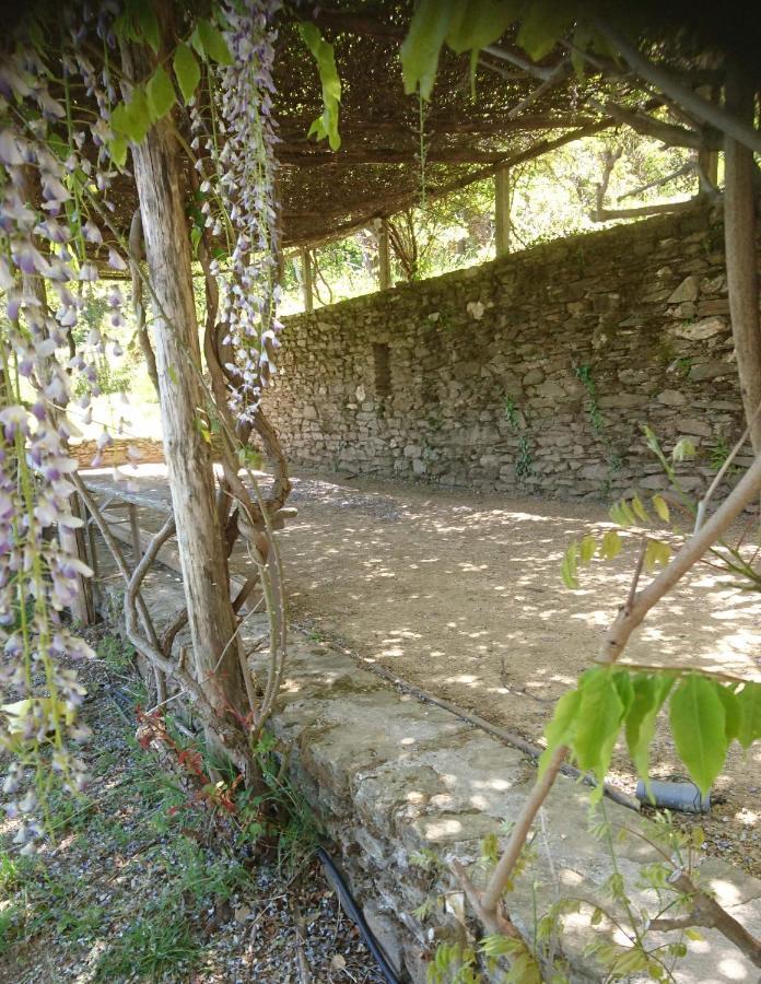 Le Mercou En Cevennes Saint-Martin-de-Boubaux Exterior photo